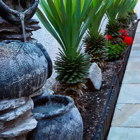 Pavlidis ホテル 2*